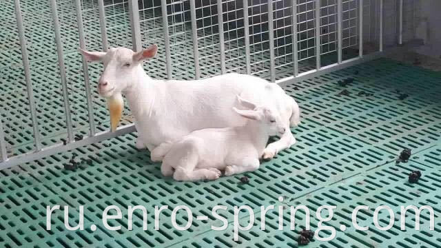 Plastic Slatted Floor for Piglets